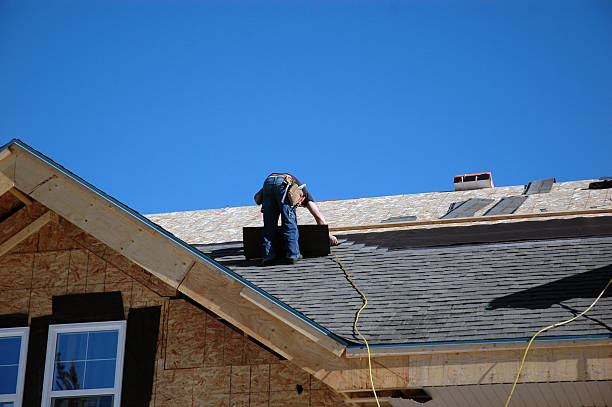 Best Roof Gutter Cleaning  in North Branch, MN
