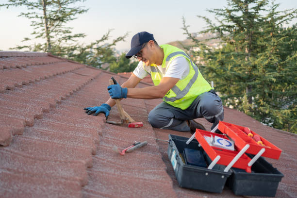 Professional Roofing Contractor in North Branch, MN