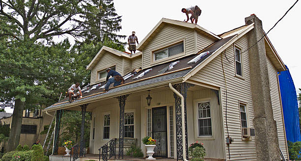 Best Emergency Roof Repair  in North Branch, MN
