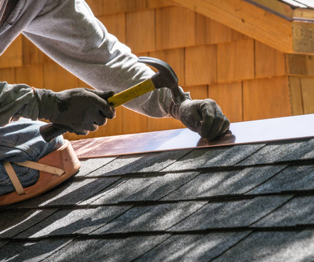 Best Flat Roof Repair Services  in North Branch, MN